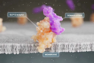 create 3d mechanism of action moa animation for pharma and medtech