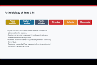 create professional medical powerpoint presentations and PDF notes