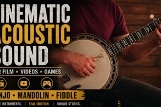 create cinematic emotional banjo, mandolin, fiddle textures for film and videos