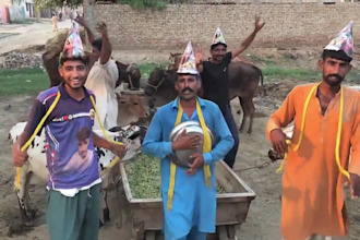 do crazy funny happy birthday video or happy birthday video