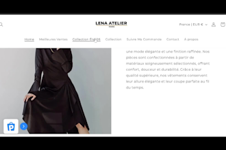 design a branded shopify website