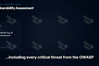 test your website security and provide a vulnerability report