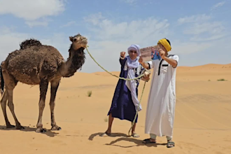 deliver funny happy birthday video with camel