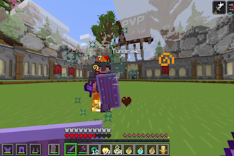 coach you in minecraft pvp