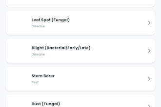 build a custom mobile app