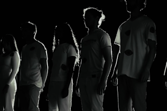 edit profesionally your music video