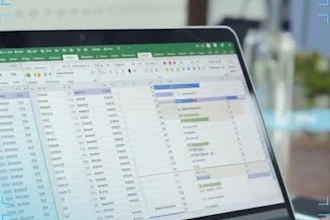 do professional data entry, ms excel and ms office  work