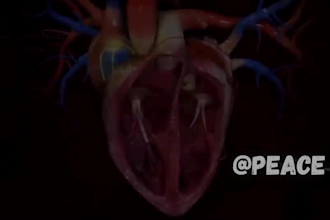 3d medical animation, anatomy animation and medical explainer videos
