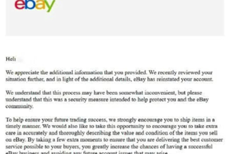 provide expert ebay mc011 and mc999 reinstatement services