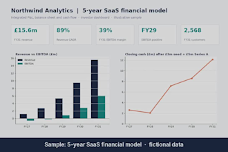 build an investor ready financial model, forecast or budget in excel