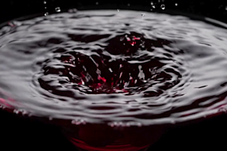 3d wine animation 3d bottle design 3d can 3d soda 3d beverage product animation