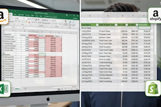 clean and format excel data for shopify and amazon bulk upload
