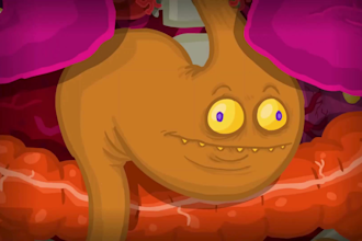 create a premium 3d animated series, cartoon series, and tv animated series