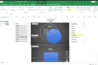 design a professional interactive excel dashboard