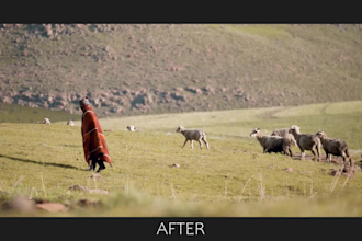 stabilize your video footage
