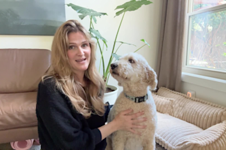 film authentic pet ugc content with my goldendoodle for your brand