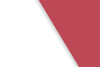 provide professional data entry and transcription services