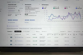 set up a profitable amazon PPC campaign to lower acos and boost sales