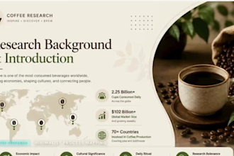 design a premium pitch deck or presentation