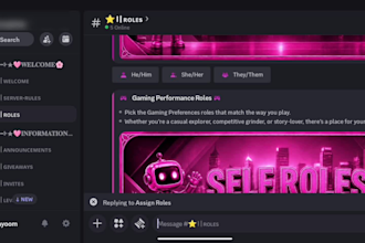 build a professional gaming discord server for streamers