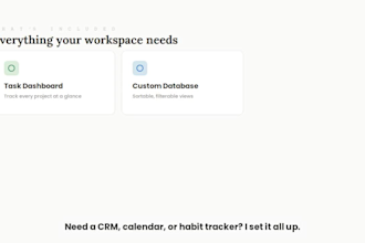 setup a custom notion template and workspace for you