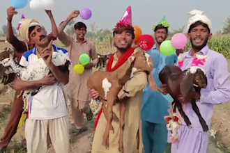 wish happy birthday video or say any message