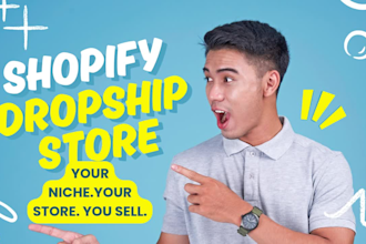 build a professional dropshipping store in your preferred niche