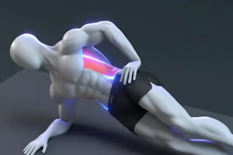 create 3d fitness, bodybuilding animation, exercise animation videos