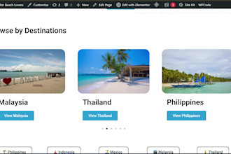 build wordpress website using elementor for blog and ecommerce