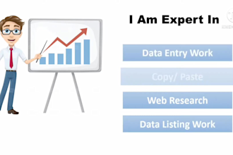data entry, internet research and data analysis