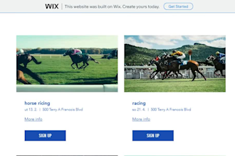 design a wix website for horse riding schools and equestrian clubs