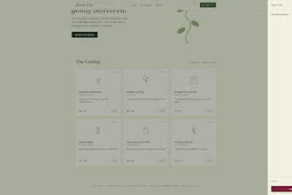 develop a full custom website with payments, hosting
