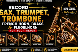 record sax, trumpet, trombone, french horn, brass and flugelhorn for your track