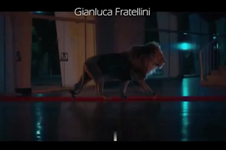 create realistic 3d animal animation, 3d animal rigging, xgen animal hair, fur