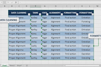 clean and organize your excel data professionally