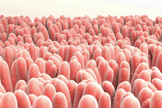 do 3d medical animation moa pharmaceutical, biotech and drug journey animation