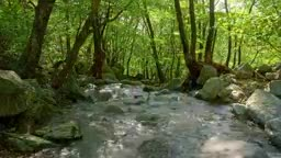 create professional video edits with smooth transitions