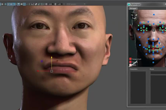 3d iclone facial rig,rig animaze avatar model,unity,character,vtuber blendshape