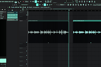 professionally edit, mix and master your tracks and  podcasts