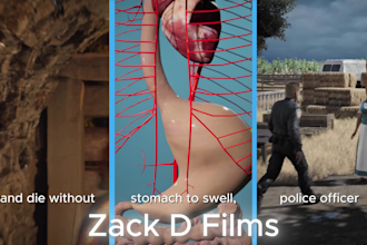 create zack d films style 3d animation