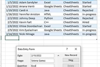 do accurate data entry and excel task fast