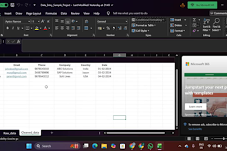 data entry  data cleaning in excel or google sheets