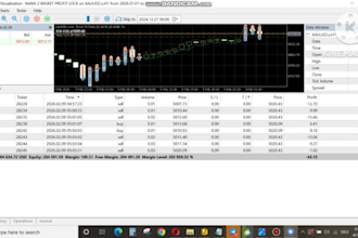 offer my martingale gold ea for rent which proved its consistency in live market