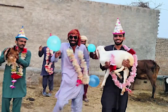 wish african happy birthday video or happy birthday video
