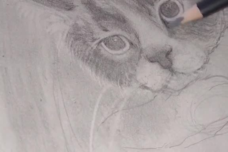 retratos y dibujos realistas