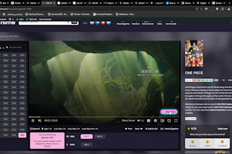 add an anime player with ad free or custom ads