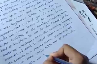 write anything with my beautiful handwriting