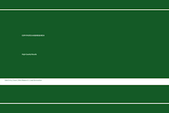 do accurate data entry, copy paste, web research, and excel