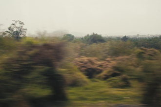 do profesional color grading for your shortfilm or comercial
