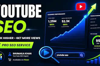youtube SEO expert to rank videos and increase organic views